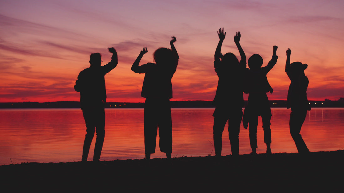 Five people in silhouette dancing beside a lake under a pink and orange sunset.